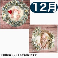 返送料別途負担【12月予定日の方事前予約枠】ナチュラルリーフリース＆ホワイトドライスワッグ〈NB〉