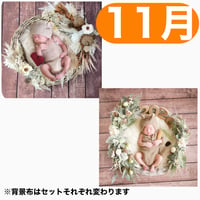 返送料別途負担【11月予定日の方事前予約枠】ココアグラス＆2wayスワッグ〈NB〉