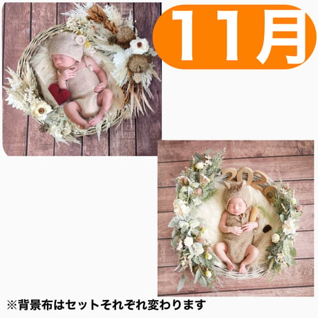 返送料別途負担【11月予定日の方事前予約枠】ココアグラス＆2wayスワッグ〈NB〉