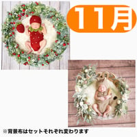 返送料別途負担【11月予定日の方事前予約枠】いちご衣装のいちごベリーリース＆2wayスワッグ〈NB〉