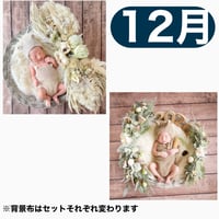 返送料別途負担【12月予定日の方事前予約枠】ホワイトドライスワッグ＆2wayスワッグ〈NB〉