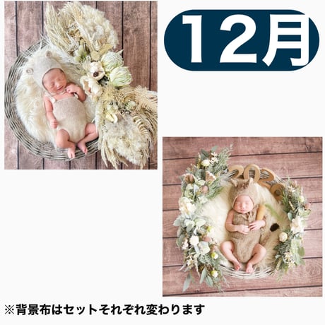 返送料別途負担【12月予定日の方事前予約枠】ホワイトドライスワッグ＆2wayスワッグ〈NB〉