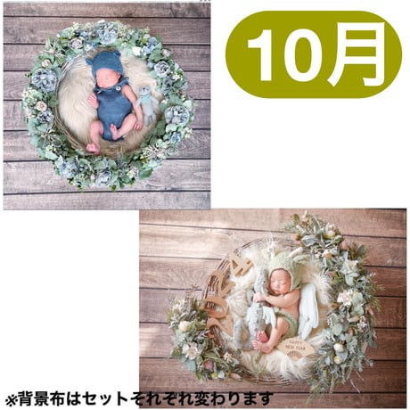 ニューボーンフォトプロップス レンタル 撮影セット いち早く