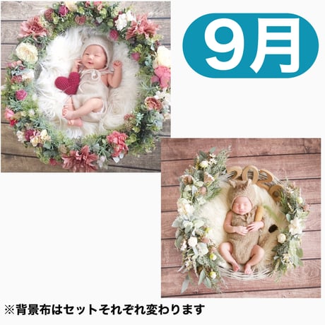 返送料別途負担【9月予定日の方事前予約枠】くすみアンティークのリース ＆2wayスワッグ〈NB〉