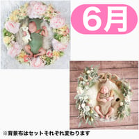 返送料別途負担【6月予定日の方事前予約枠】ユニコーンのパステルフラワーリース ＆2wayスワッグ〈NB〉
