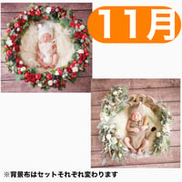 返送料別途負担【11月予定日の方事前予約枠】白雪姫風リース＆2wayスワッグ〈NB〉