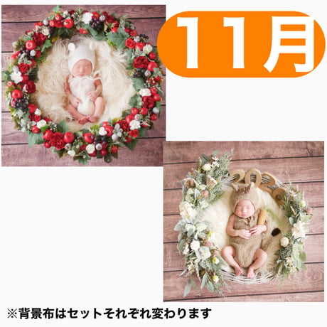 返送料別途負担【11月予定日の方事前予約枠】白雪姫風リース＆2wayスワッグ〈NB〉