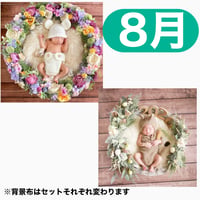 返送料別途負担【8月予定日の方事前予約枠】ラプンツェル風リース＆2wayスワッグ〈NB〉