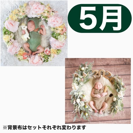 返送料別途負担【5月予定日の方事前予約枠】ユニコーンのパステルフラワーリース ＆2wayスワッグ〈NB〉