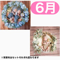 返送料別途負担【6月予定日の方事前予約枠】アンティークアジサイリース ＆2wayスワッグ〈NB〉