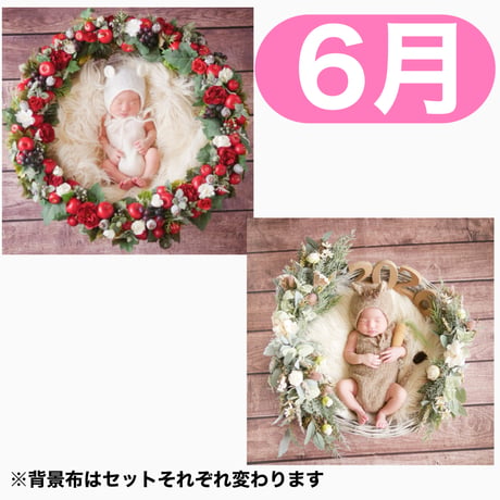返送料別途負担【6月予定日の方事前予約枠】白雪姫風リース＆2wayスワッグ〈NB〉