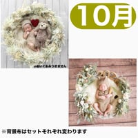 返送料別途負担【10月予定日の方事前予約】パンパスホワイトリース ＆2wayスワッグ〈NB〉
