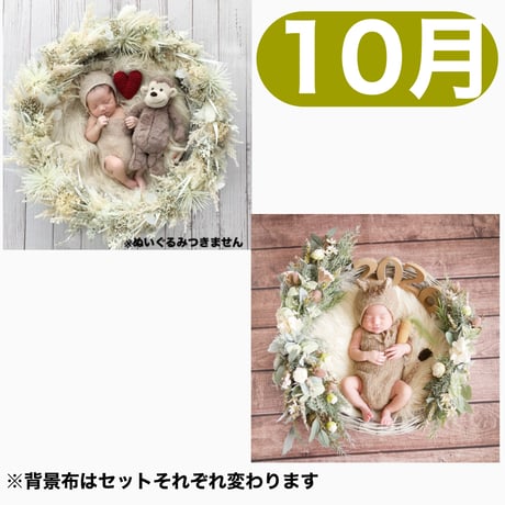 返送料別途負担【10月予定日の方事前予約】パンパスホワイトリース ＆2wayスワッグ〈NB〉