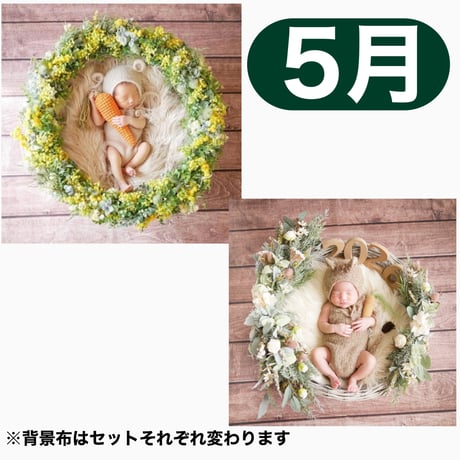 返送料別途負担【5月予定日の方事前予約枠】ミモザリース ＆2wayスワッグ〈NB〉