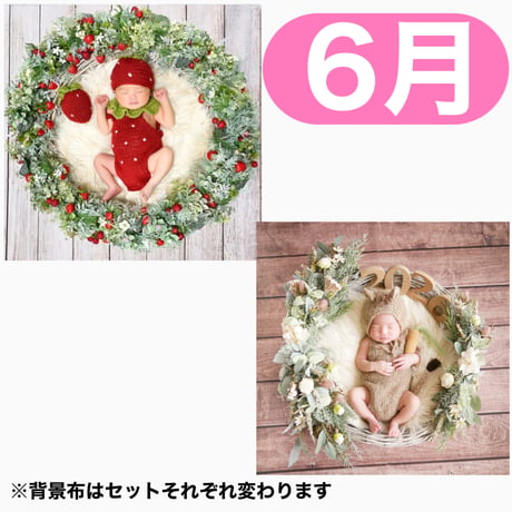 返送料別途負担【6月予定日の方事前予約枠】いちご衣装のいちごベリーリース＆2wayスワッグ〈NB〉