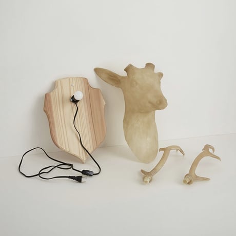 Hunting trophy -deer-