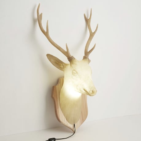 Hunting trophy -deer-
