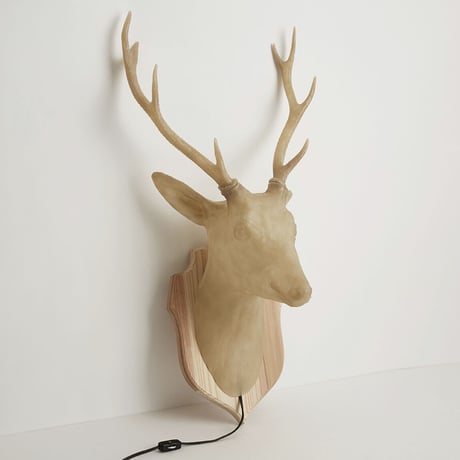 Hunting trophy -deer-