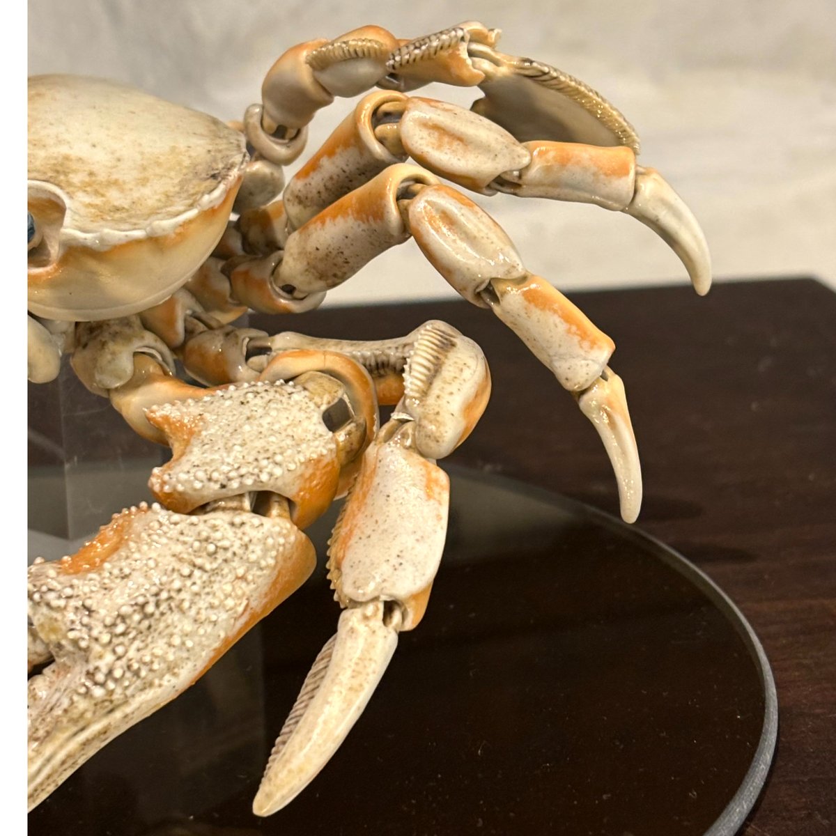 自在置物 蟹 弘美作 自在置物の陶芸家・岡村悠紀が「かに座の蟹」で新境地 表現したい題材