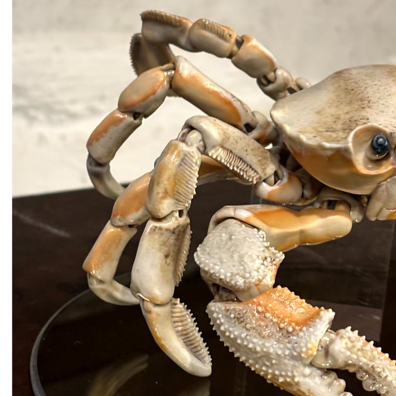 岡村悠紀「 陶 自在灰被平爪蟹 」 | Maruhi.STORE