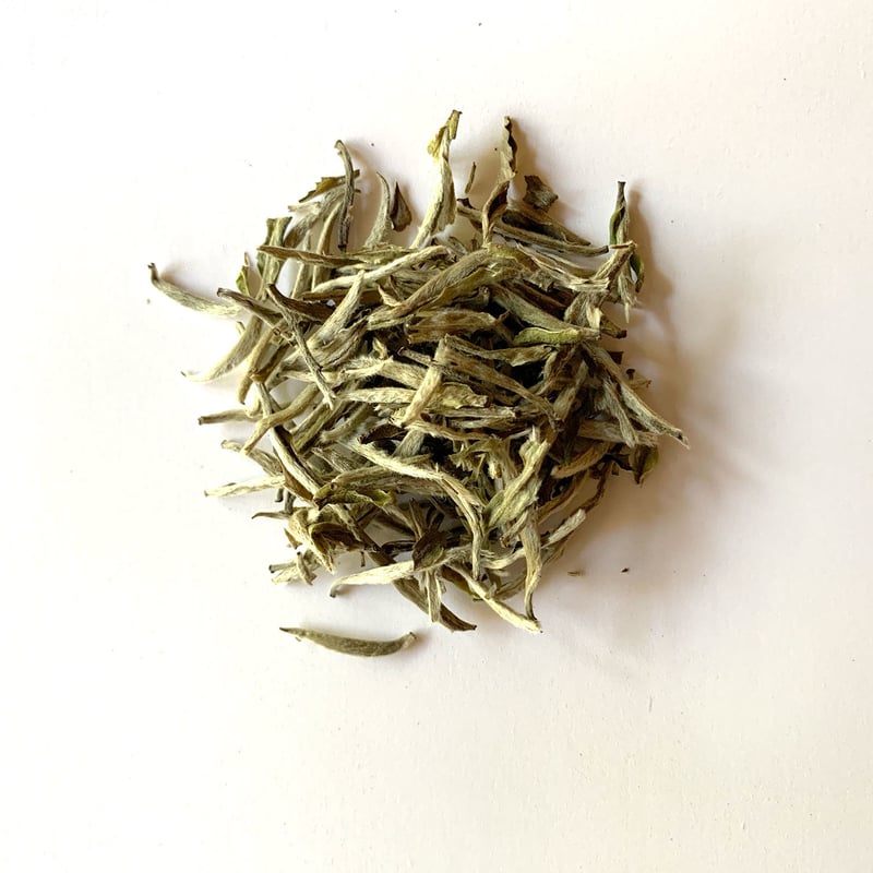 最上級（九窨）‼️ジャスミン茶 茉莉白龍珠（白毫銀針）