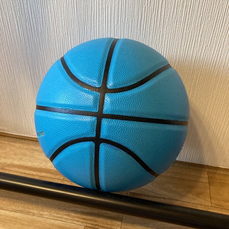 【snsで話題沸騰】暗闇で光るバスケットボール　glow in the dark　basketball