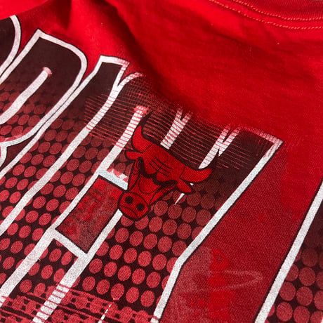 Derrick Rose シカゴ・ブルズ 両面プリントTシャツ XL