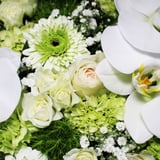 Flower KADOYA