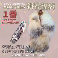 テラクリームが凄い！ < Paradoxテラクリーム 120g>定価¥13,860 | 厳選