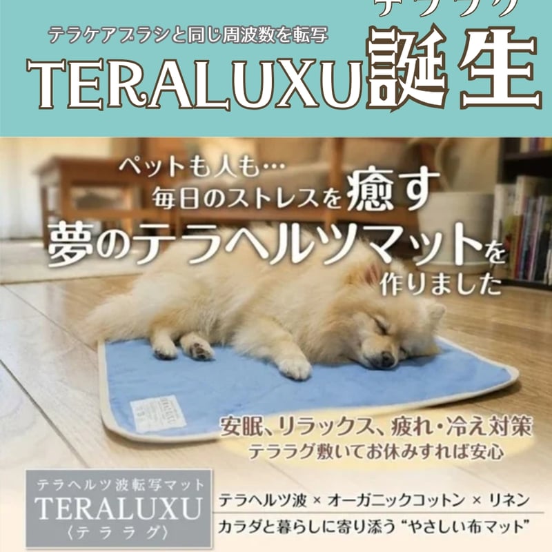 テラヘルツ波転写マット♡テララグTERALUXU定価¥28,600 | 厳選