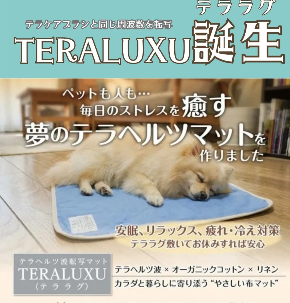 テラヘルツ波転写マット♡テララグTERALUXU定価¥28,600 | 厳選