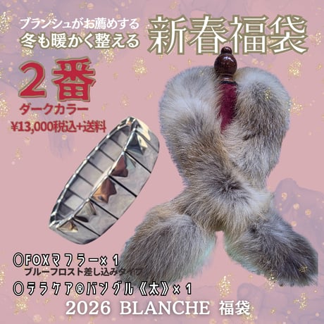 オルゴナイト まん丸カメさん テラヘルツ オルゴナイト まん丸カメさん テラヘルツ