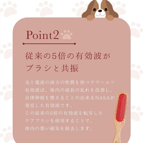 ペット&人 兼用♪テラケア®️ブラシ+専用ブラシケースのSet定価¥26,070