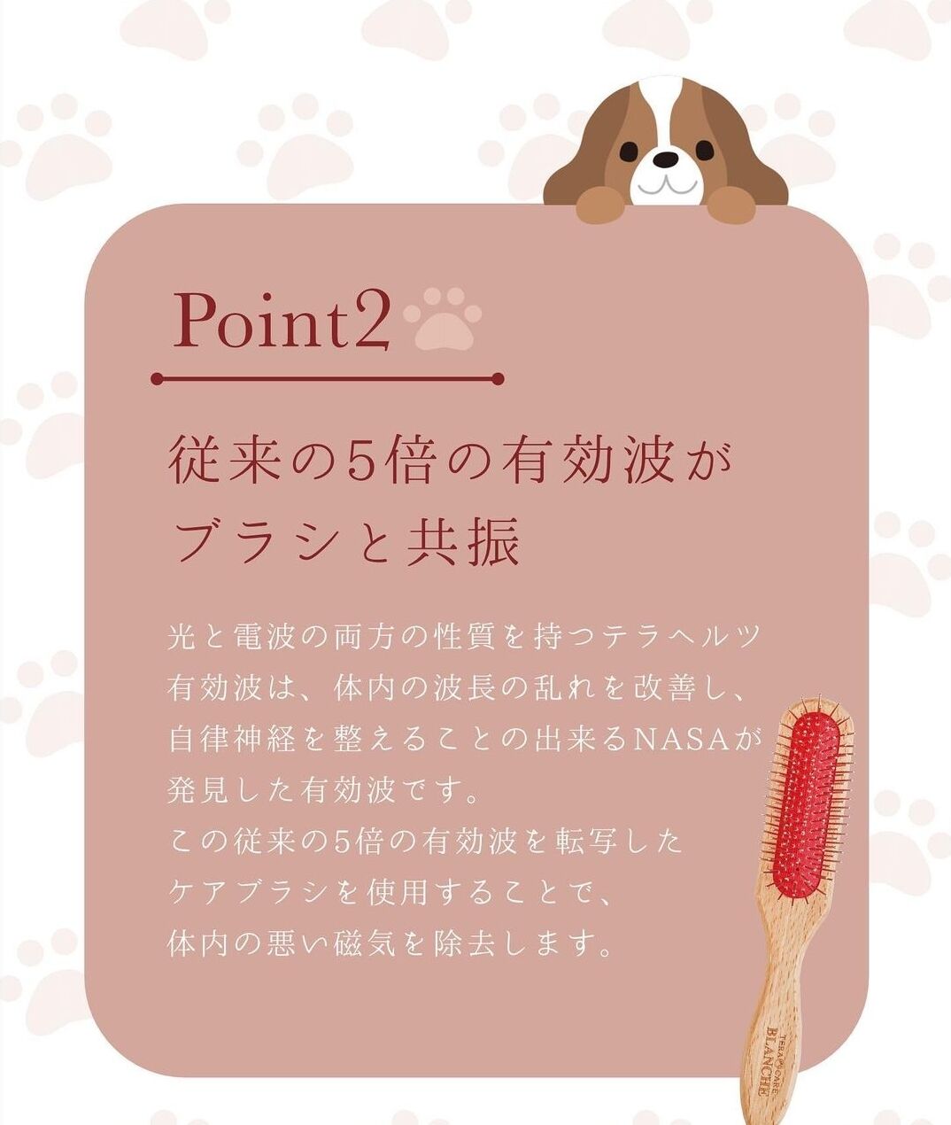 ペット&人 兼用♪テラケア®️ブラシ+専用ブラシケースのSet定価¥24,310