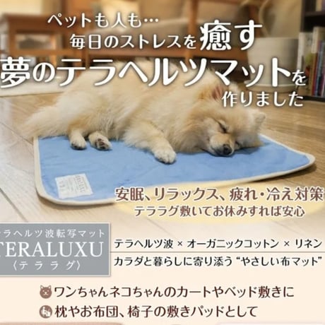 間もなく完売！テラヘルツ波転写マット♡テララグTERALUXU定価¥28,600