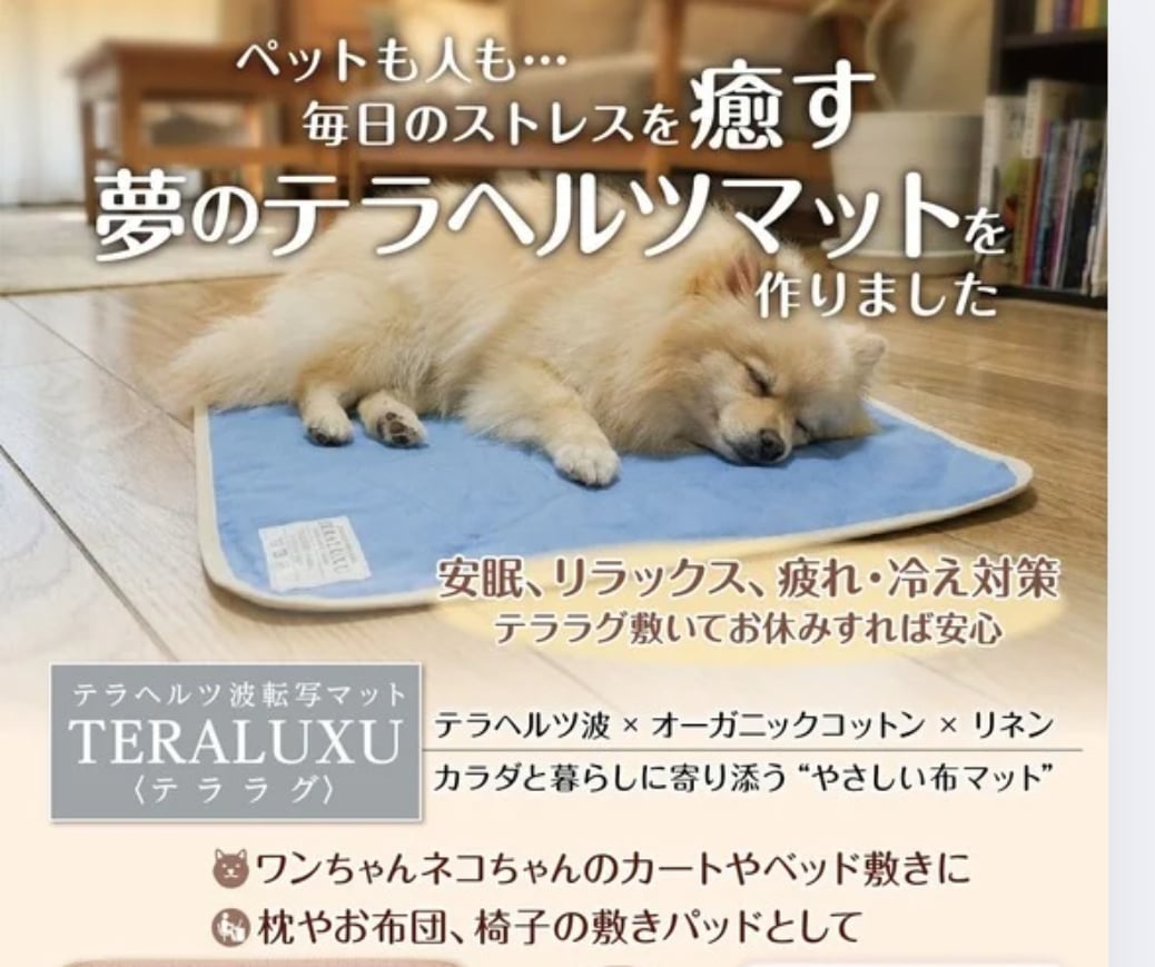 テラヘルツ波転写マット♡テララグTERALUXU定価¥28,600 | 厳選