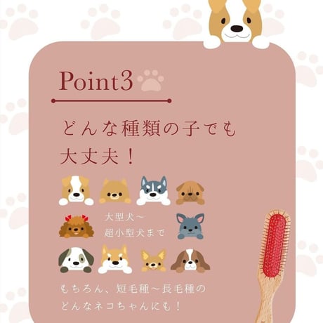 ペット&人 兼用♪テラケア®️ブラシ+専用ブラシケースのSet定価¥26,070