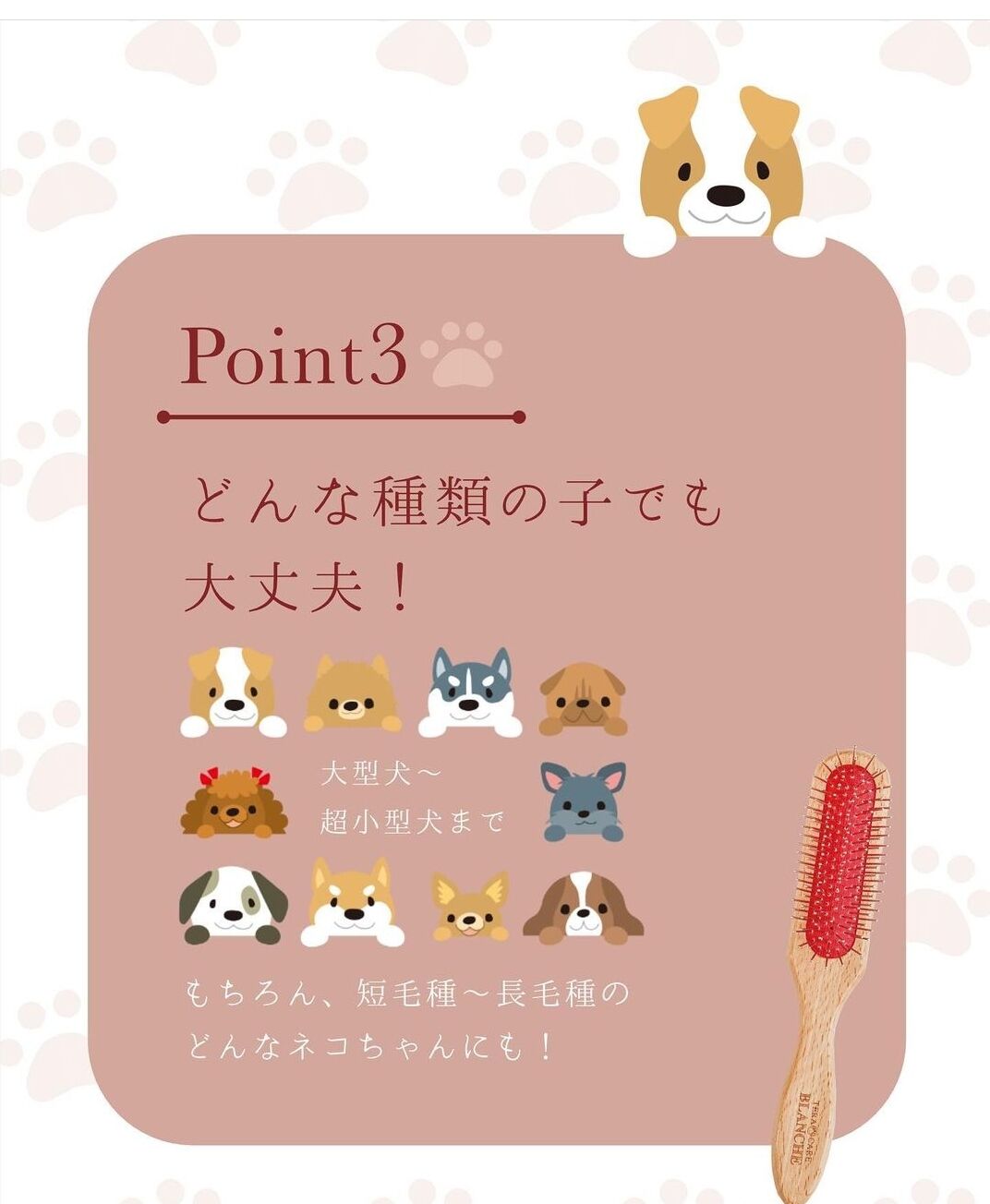 ペット&人 兼用♪テラケア®️ブラシ+専用ブラシケースのSet定価¥24,310