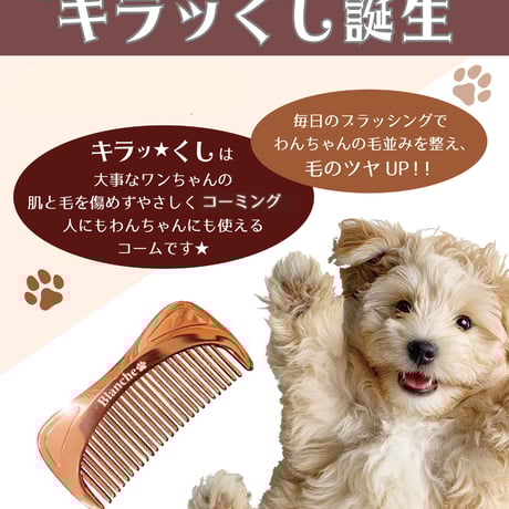 オルゴナイト まん丸カメさん テラヘルツ オルゴナイト まん丸カメさん テラヘルツ