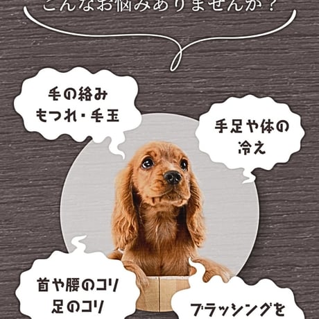 ペット&人 兼用♪テラケア®️ブラシ+専用ブラシケースのSet定価¥26,070