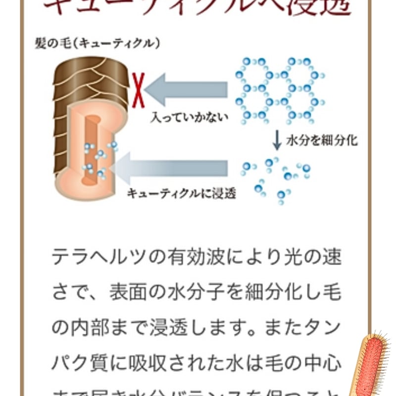 ペット&人 兼用で使える♪テラケア®️ブラシ定価¥21,560 | 厳選