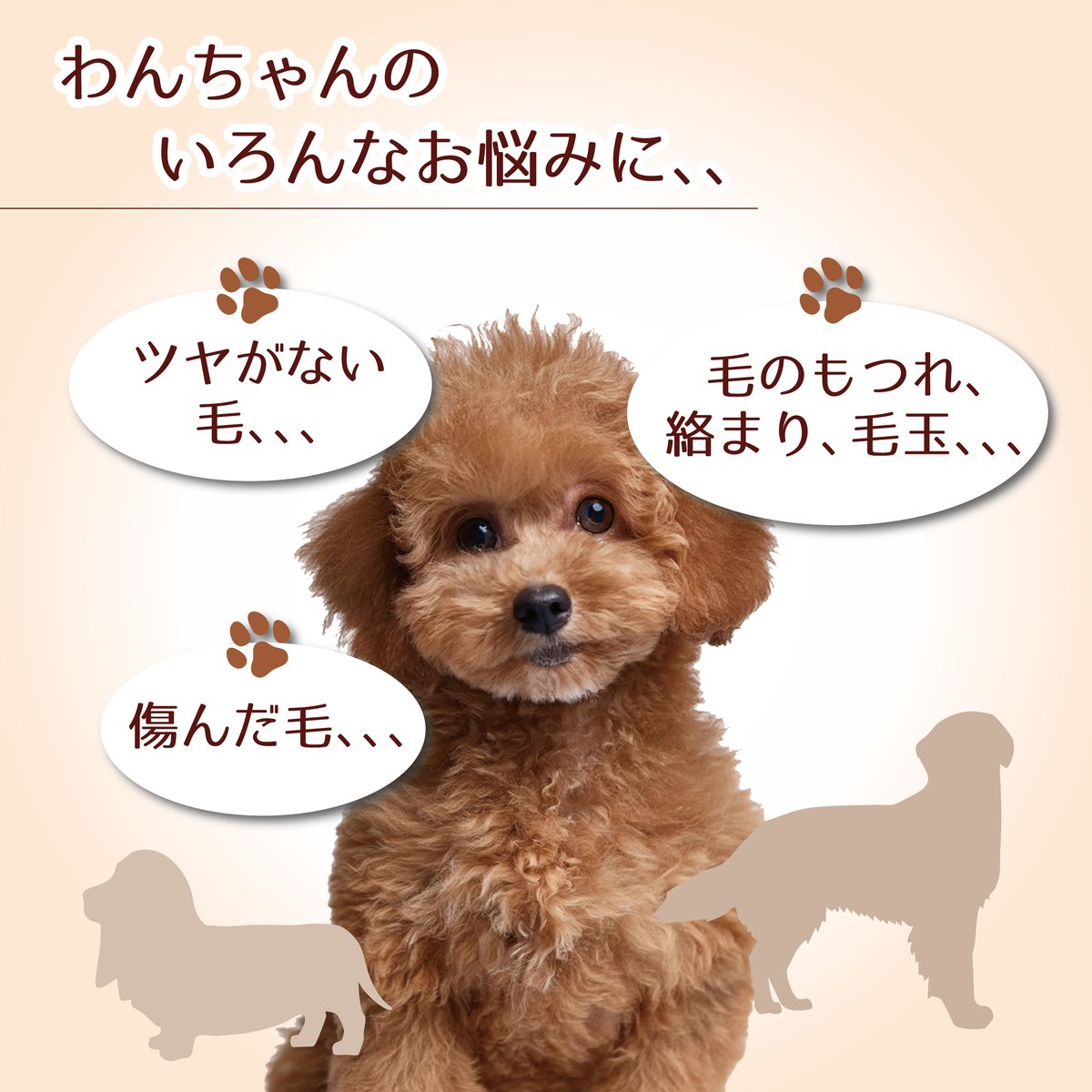 キラッくし⭐静電抑制コーム | 厳選テラヘルツと組紐ジュエリーの癒し