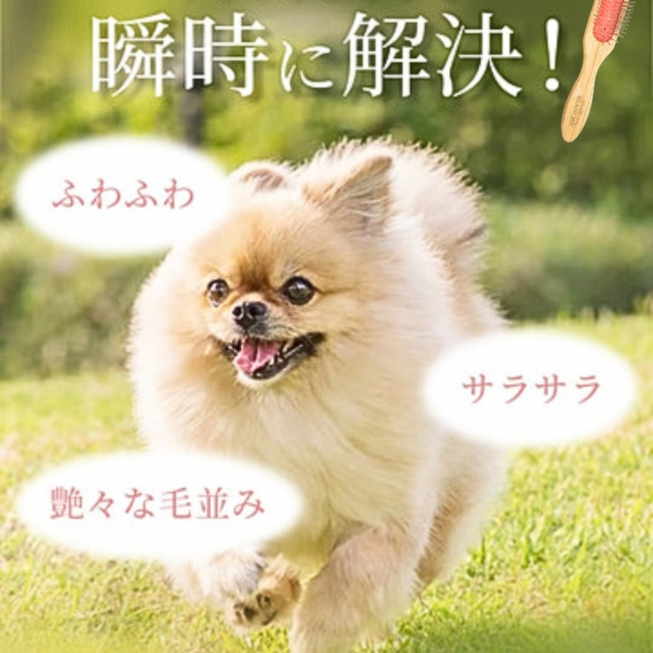 62e77874b821564654adecd0