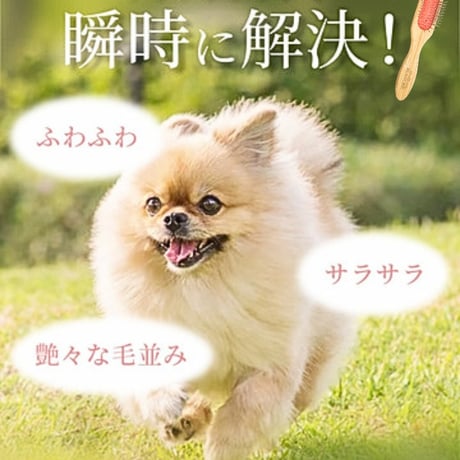 ペット&人 兼用♪テラケア®️ブラシ+専用ブラシケースのSet定価¥26,070