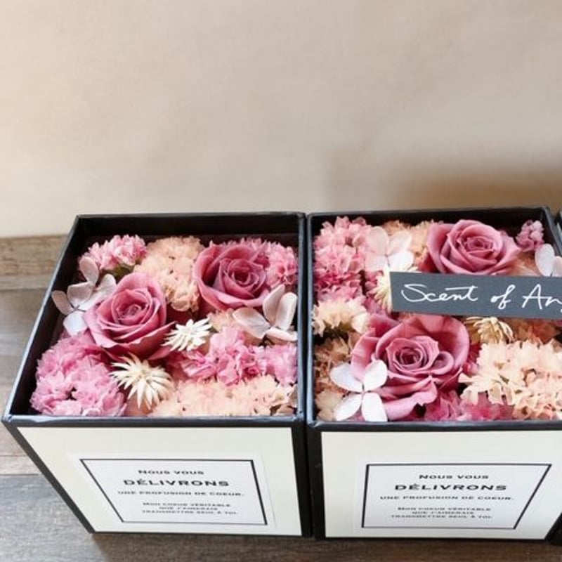 Small Package / 紫陽花＜CD＞ 08250521H01T Small Package / 紫陽花