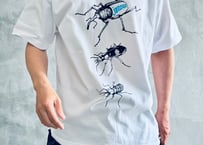 junnos 昆虫Tシャツ (僅かですが再発)