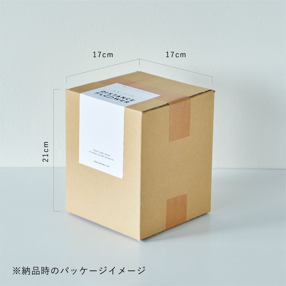 5f461a9b791d0202170bfc8f