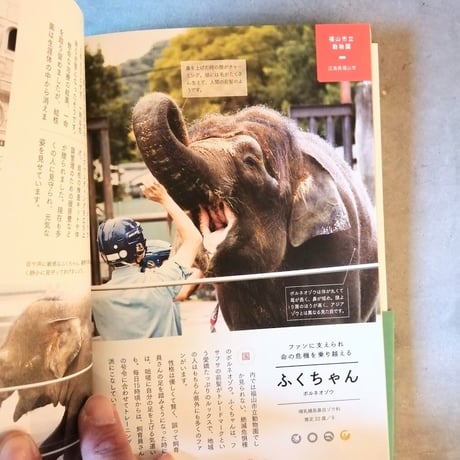 動物園めぐり