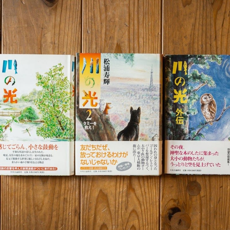 川の光 | 本屋UNLEARN