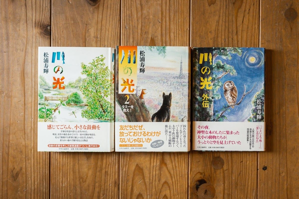 川の光 | 本屋UNLEARN